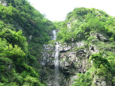 王雨潔