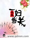 一夫當關小說