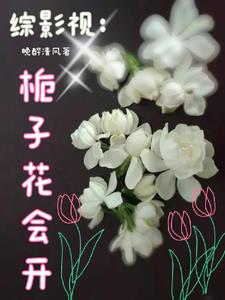 綜影獻花小說