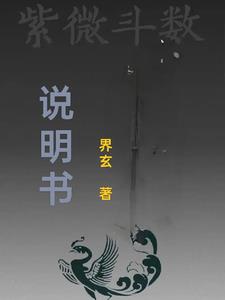 紫微斗數說明書