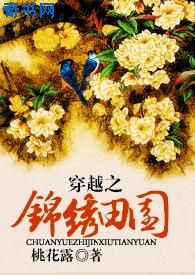 穿越錦心似玉小說