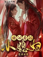 國公府的小媳婦小說